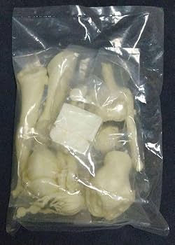 ガレージキット　S-MIST　1/4榛名（フル艤装ver） Amazon | 1/4 ガレージキット フィギュア250mm 未塗装 ブルー